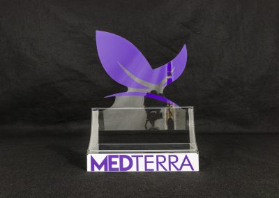 MEDTERRAdisplay