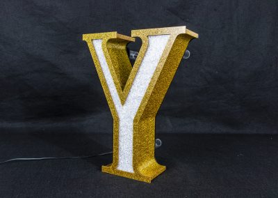 Acrylic Y